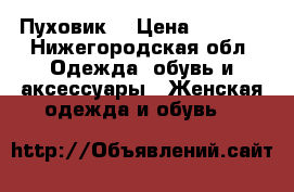 Пуховик. › Цена ­ 2 000 - Нижегородская обл. Одежда, обувь и аксессуары » Женская одежда и обувь   